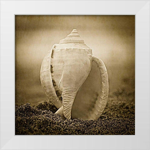 A Suitable Dwelling White Modern Wood Framed Art Print by Hartson-Weddle, Ryan
