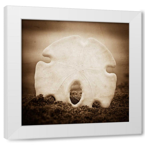 More Than a Dollars Worth White Modern Wood Framed Art Print by Hartson-Weddle, Ryan