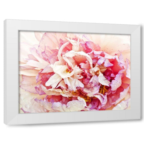Monets Peony I White Modern Wood Framed Art Print by Perry, Rachel