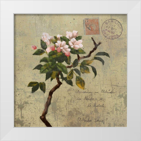 Postage I White Modern Wood Framed Art Print by Novak, Rick