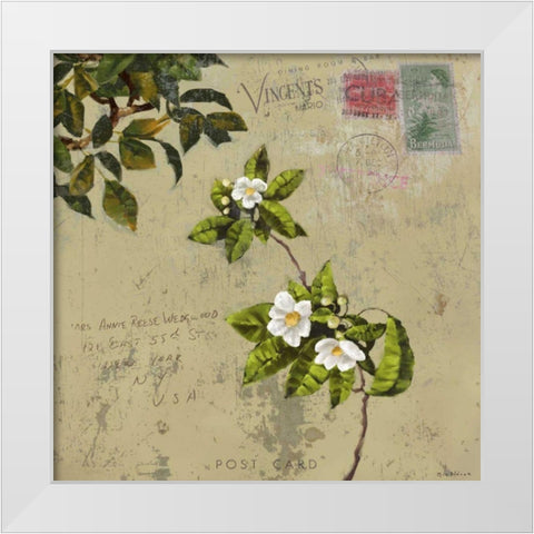 Postage III White Modern Wood Framed Art Print by Novak, Rick