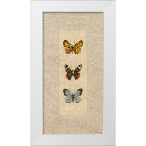 Butterfly Trio II White Modern Wood Framed Art Print by Russell, Wendy
