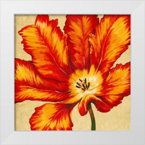 Parrot Tulip II White Modern Wood Framed Art Print by OToole, Tim