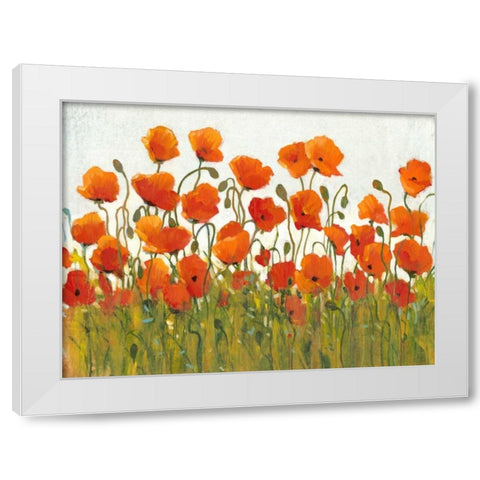 Rows of Poppies I White Modern Wood Framed Art Print by OToole, Tim