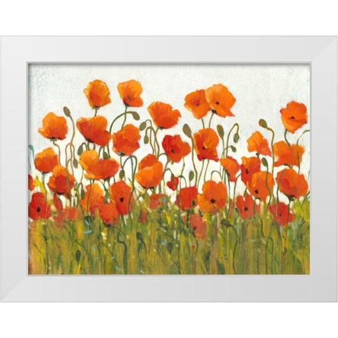 Rows of Poppies I White Modern Wood Framed Art Print by OToole, Tim