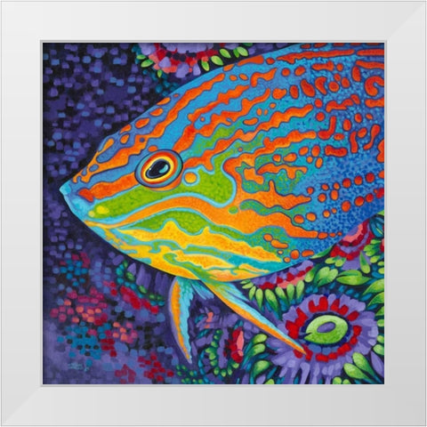 Brilliant Tropical Fish I White Modern Wood Framed Art Print by Vitaletti, Carolee