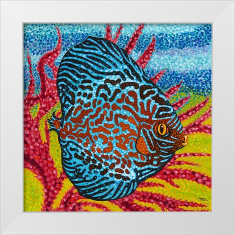 Brilliant Tropical Fish II White Modern Wood Framed Art Print by Vitaletti, Carolee