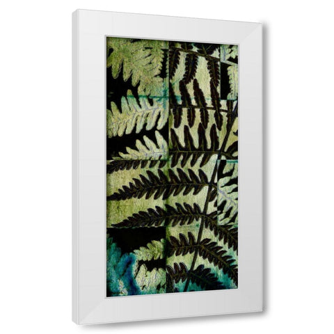 Midnight Ferns II White Modern Wood Framed Art Print by Vision Studio