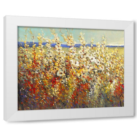 Field of Spring Flowers II White Modern Wood Framed Art Print by OToole, Tim