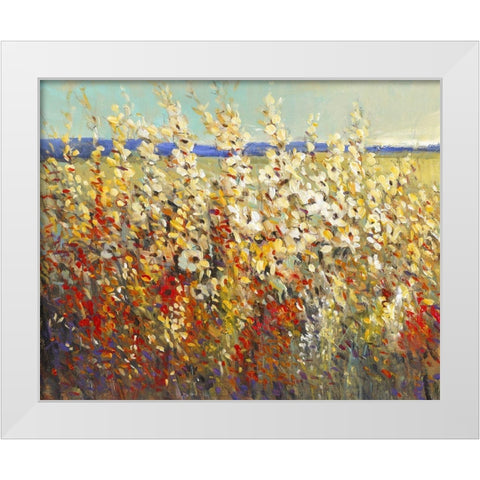 Field of Spring Flowers II White Modern Wood Framed Art Print by OToole, Tim