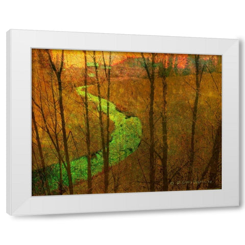 Woodblock Stream I White Modern Wood Framed Art Print by Vest, Chris