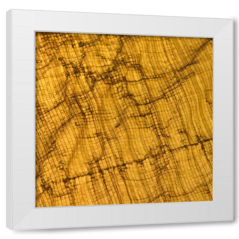 Natures Textures I White Modern Wood Framed Art Print by Vision Studio