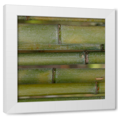 Natures Textures V White Modern Wood Framed Art Print by Vision Studio
