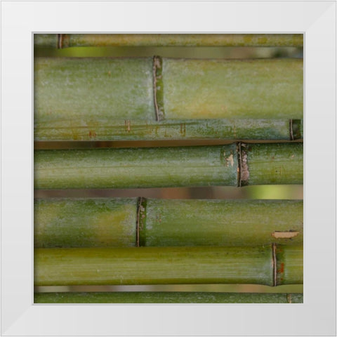 Natures Textures V White Modern Wood Framed Art Print by Vision Studio