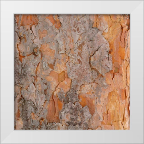 Natures Textures VII White Modern Wood Framed Art Print by Vision Studio