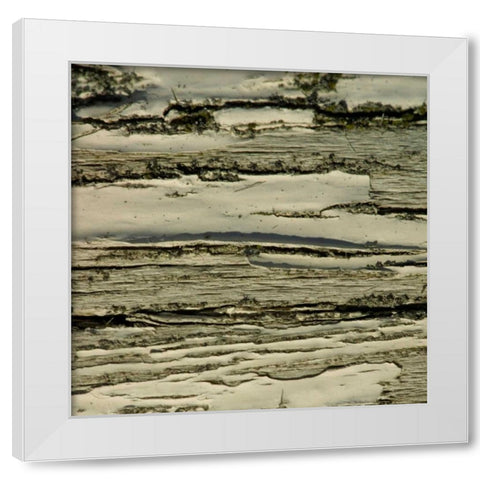 Natures Textures VIII White Modern Wood Framed Art Print by Vision Studio