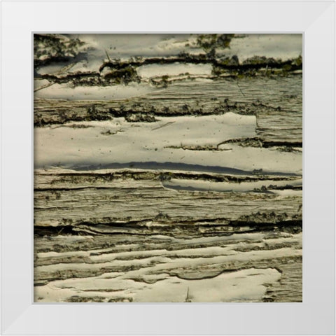 Natures Textures VIII White Modern Wood Framed Art Print by Vision Studio