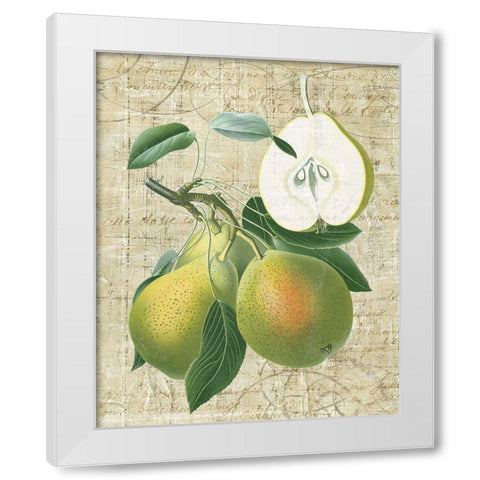 Orchard Medley II White Modern Wood Framed Art Print by Vision Studio