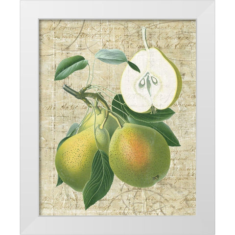 Orchard Medley II White Modern Wood Framed Art Print by Vision Studio
