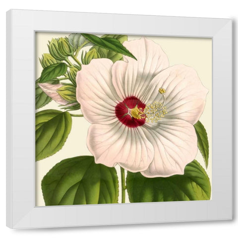 Tropical Vision I White Modern Wood Framed Art Print by Vision Studio