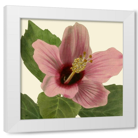 Tropical Vision II White Modern Wood Framed Art Print by Vision Studio