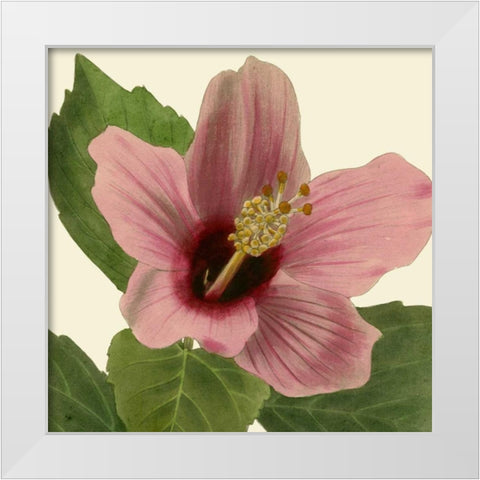 Tropical Vision II White Modern Wood Framed Art Print by Vision Studio