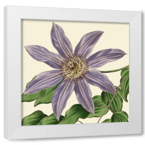 Tropical Vision III White Modern Wood Framed Art Print by Vision Studio