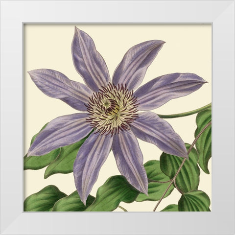 Tropical Vision III White Modern Wood Framed Art Print by Vision Studio