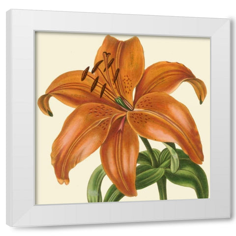 Tropical Vision IV White Modern Wood Framed Art Print by Vision Studio