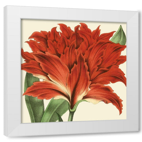 Tropical Vision V White Modern Wood Framed Art Print by Vision Studio