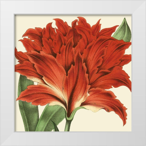 Tropical Vision V White Modern Wood Framed Art Print by Vision Studio