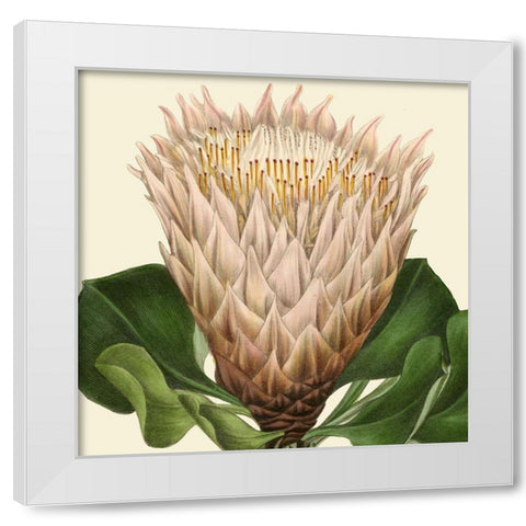 Tropical Vision VI White Modern Wood Framed Art Print by Vision Studio
