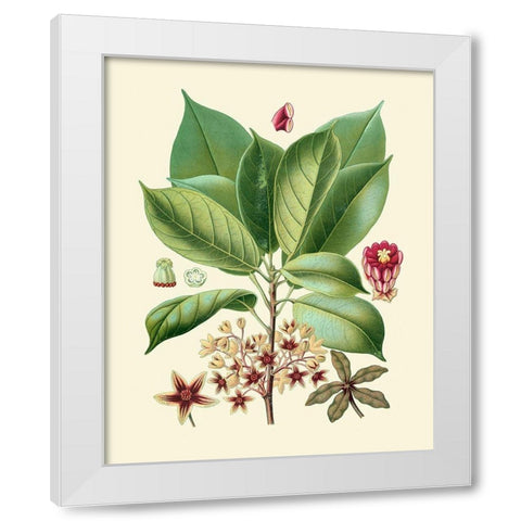 Botanical Glory I White Modern Wood Framed Art Print by Vision Studio