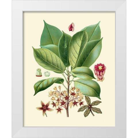 Botanical Glory I White Modern Wood Framed Art Print by Vision Studio