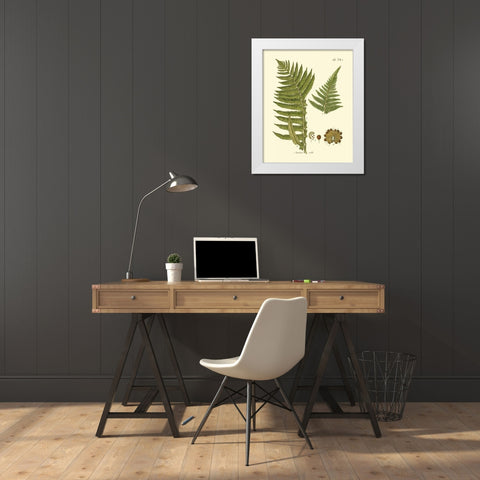 Antique Fern III White Modern Wood Framed Art Print by Vision Studio