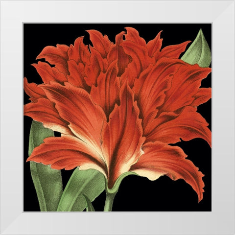 Dramatic Tropical Vision V White Modern Wood Framed Art Print by Vision Studio