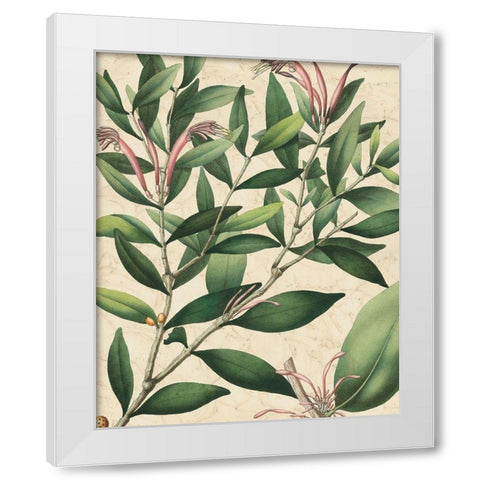 Botanic Beauty II White Modern Wood Framed Art Print by Vision Studio