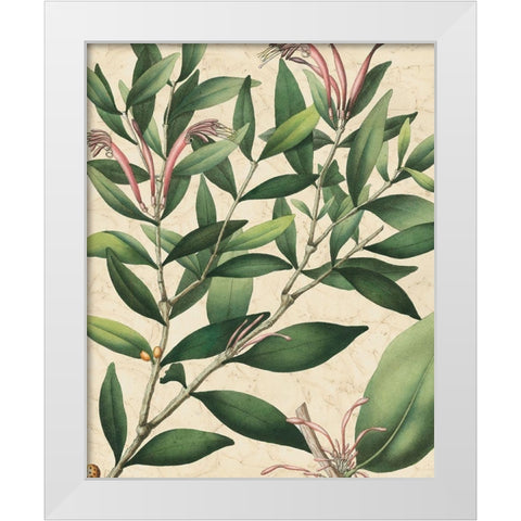 Botanic Beauty II White Modern Wood Framed Art Print by Vision Studio
