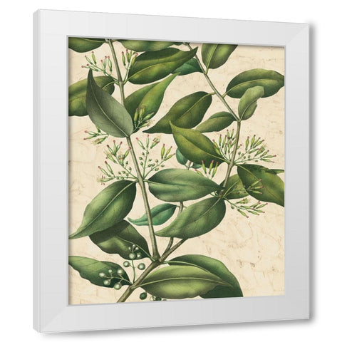 Botanic Beauty III White Modern Wood Framed Art Print by Vision Studio