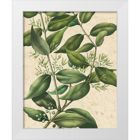 Botanic Beauty III White Modern Wood Framed Art Print by Vision Studio