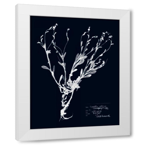 Impressions on Indigo II White Modern Wood Framed Art Print by Vision Studio