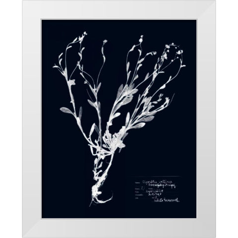 Impressions on Indigo II White Modern Wood Framed Art Print by Vision Studio