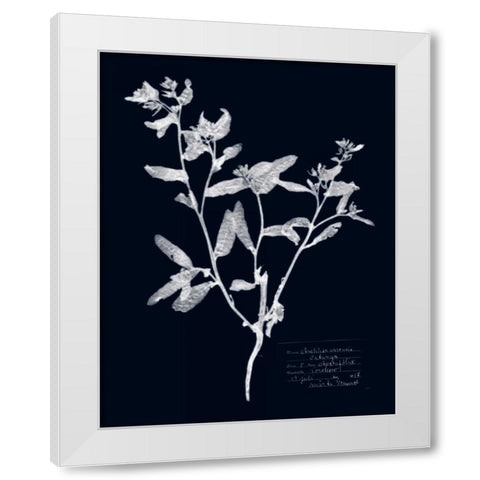 Impressions on Indigo III White Modern Wood Framed Art Print by Vision Studio