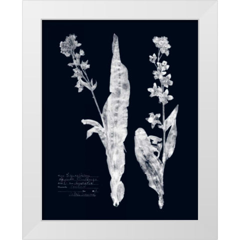 Impressions on Indigo IV White Modern Wood Framed Art Print by Vision Studio