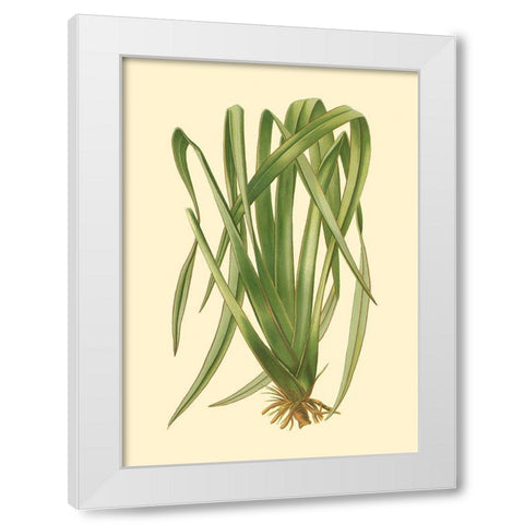 Custom Terra Collection III (KB) White Modern Wood Framed Art Print by Vision Studio