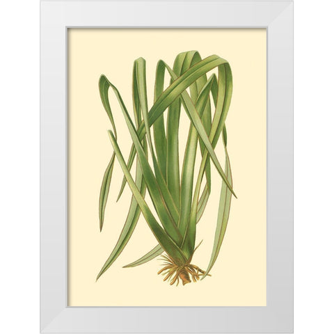 Custom Terra Collection III (KB) White Modern Wood Framed Art Print by Vision Studio