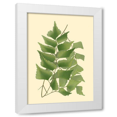 Custom Terra Collection IV (KB) White Modern Wood Framed Art Print by Vision Studio