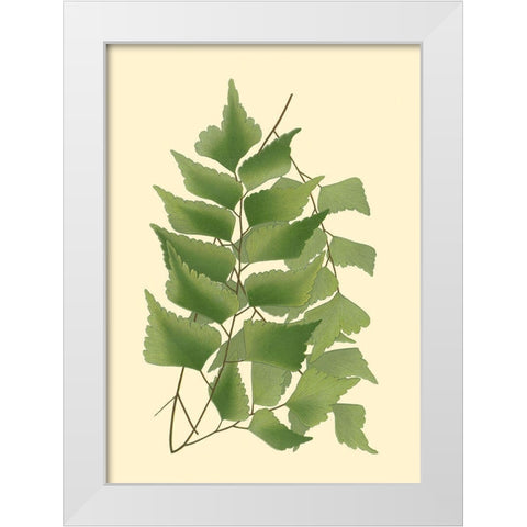 Custom Terra Collection IV (KB) White Modern Wood Framed Art Print by Vision Studio