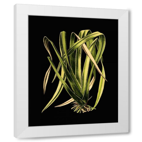 Green Leaves on Black IV White Modern Wood Framed Art Print by Vision Studio