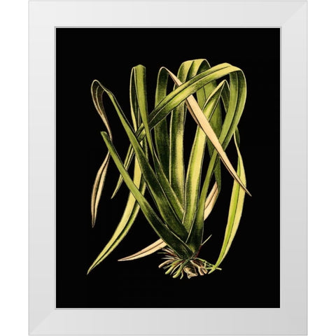 Green Leaves on Black IV White Modern Wood Framed Art Print by Vision Studio